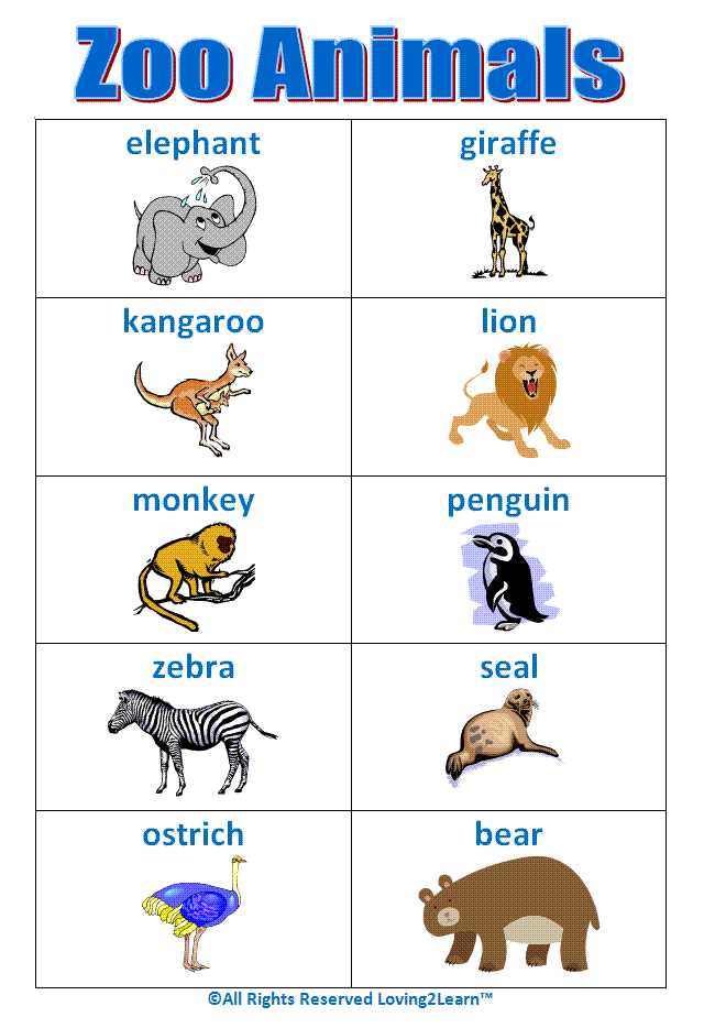 zoo-animals-word-search-allfreekidscrafts